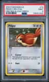 Pidgey