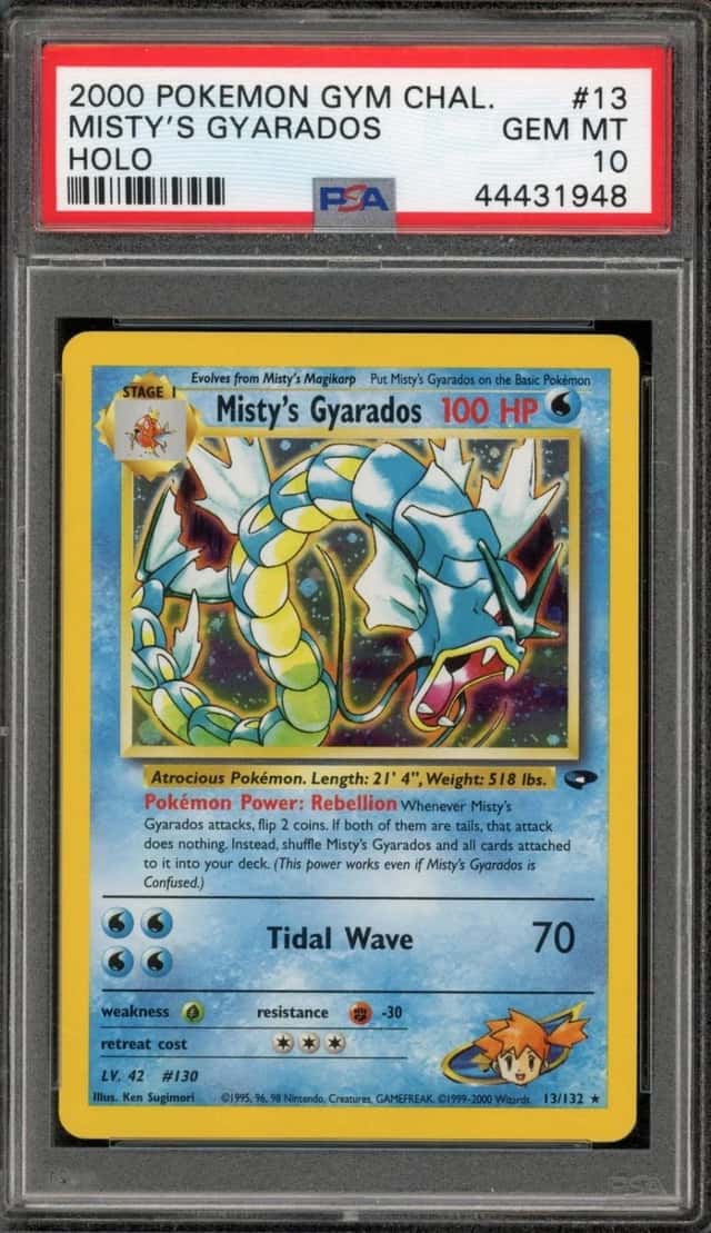 Misty's Gyarados