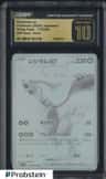 Reshiram Ex