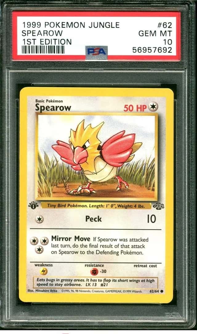 Spearow