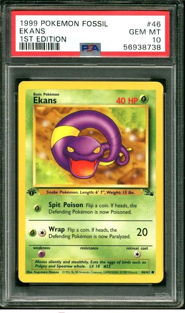 Ekans