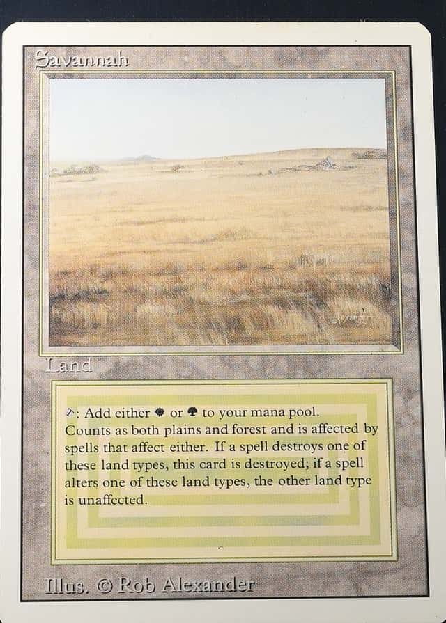 Base / no variant