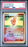 Torchic