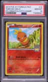 Torchic
