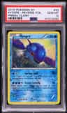Kyogre