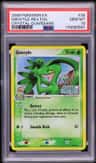 Grovyle