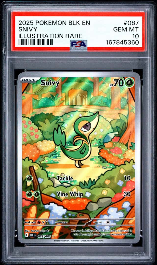 Snivy