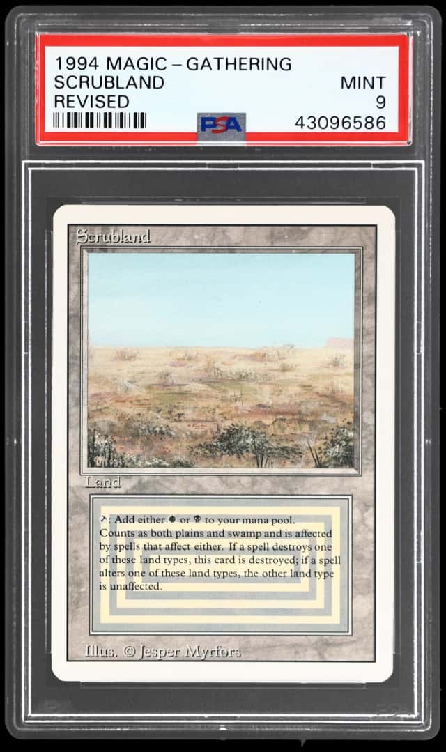 Scrubland