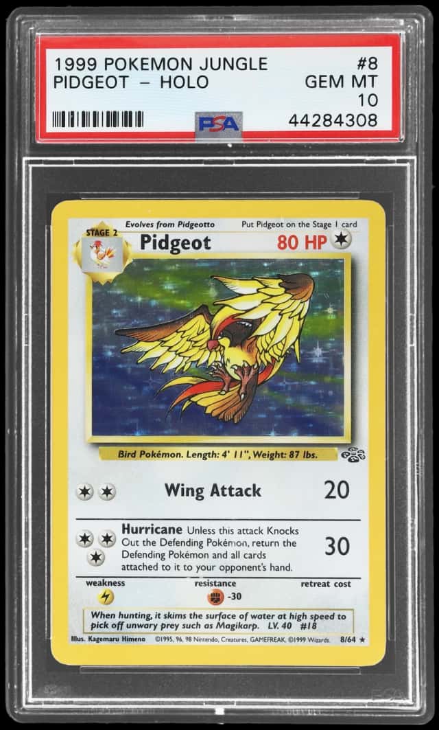 1999 Pokemon Jungle Holo Pidgeot #8