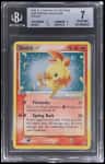 Torchic