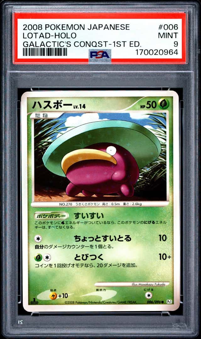 Lotad