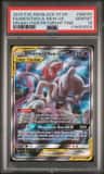 Mewtwo & Mew Gx