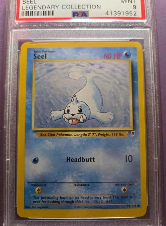 Seel