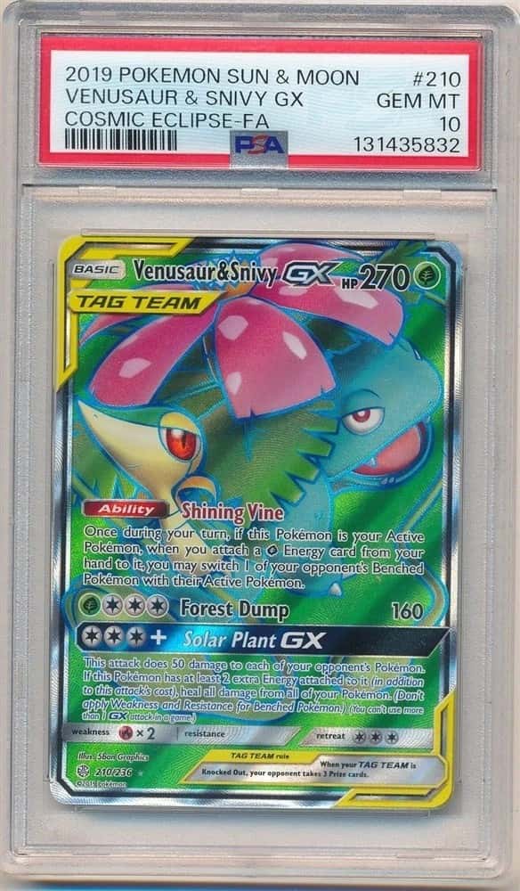 Venusaur & Snivy GX