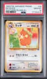 Raticate