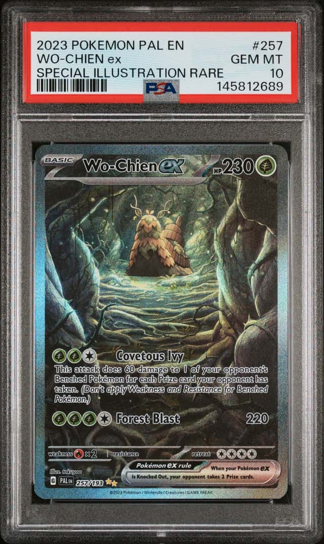 WO-CHIEN ex