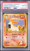 Blaine'S Rapidash