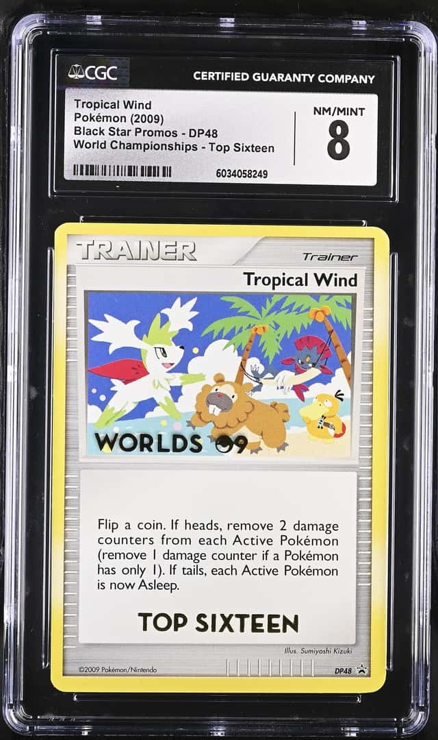 Tropical Wind