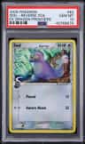 Seel δ