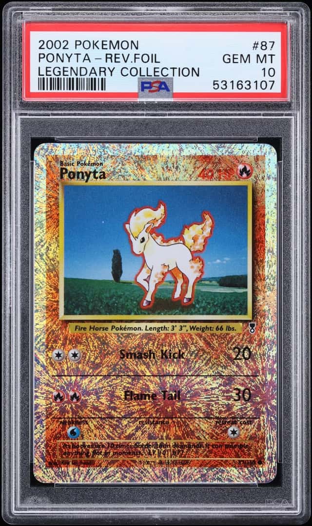 Ponyta