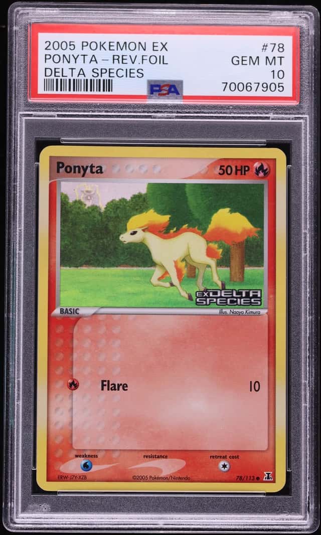 Ponyta