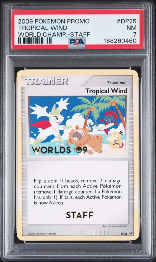 Tropical Wind