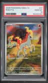 Ponyta