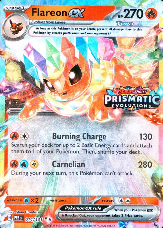Holo · Box Exclusive Surprise