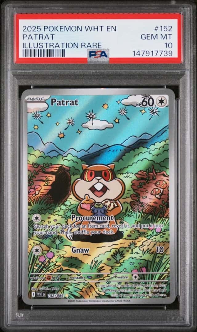 Patrat