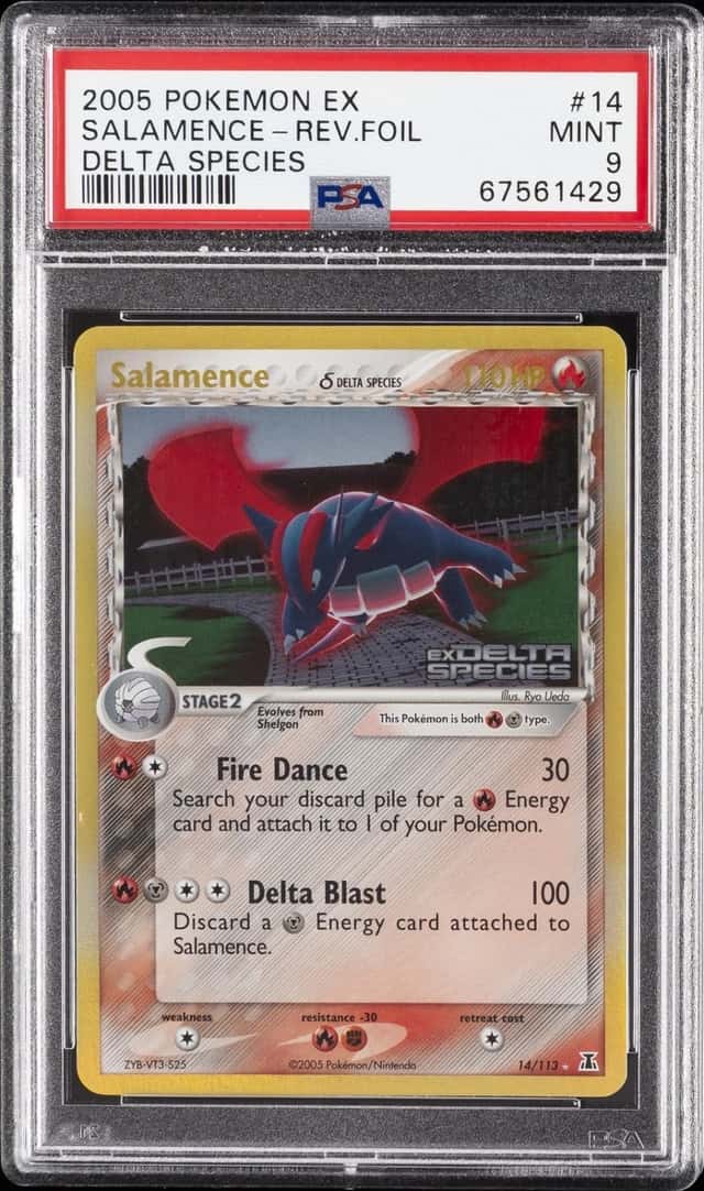 Salamence