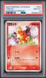 Torchic
