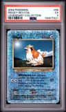Pidgey