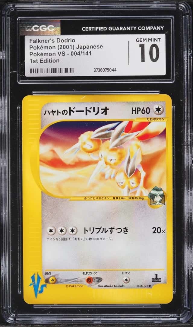 Falkner's Dodrio