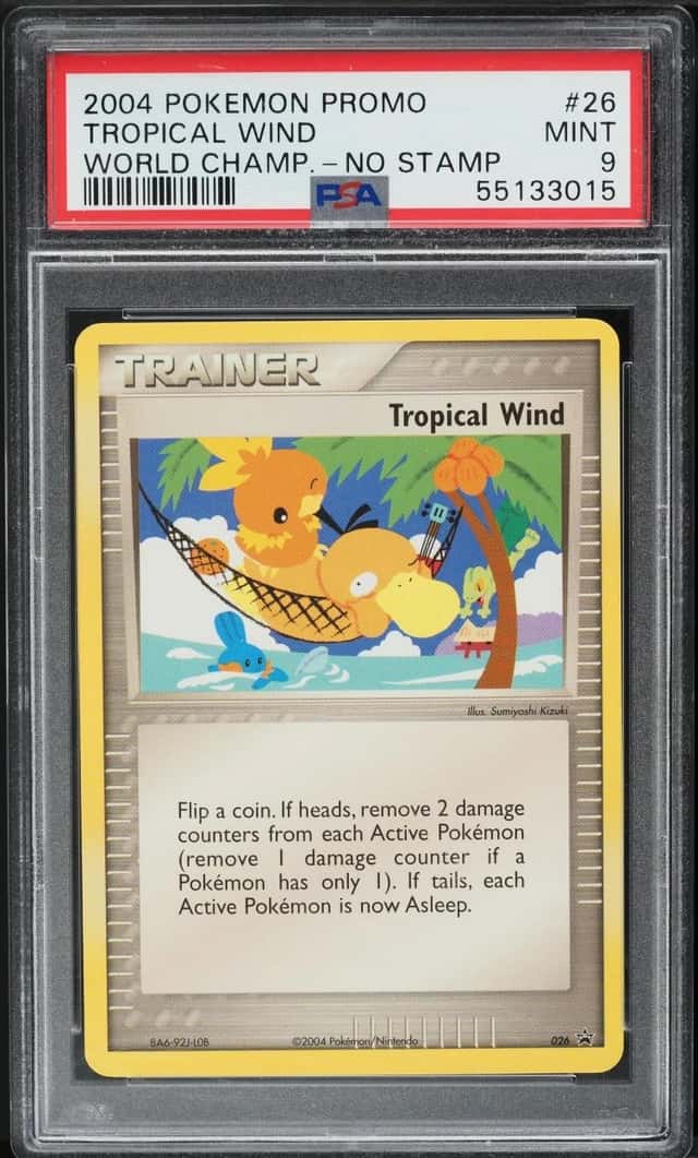 Tropical Wind