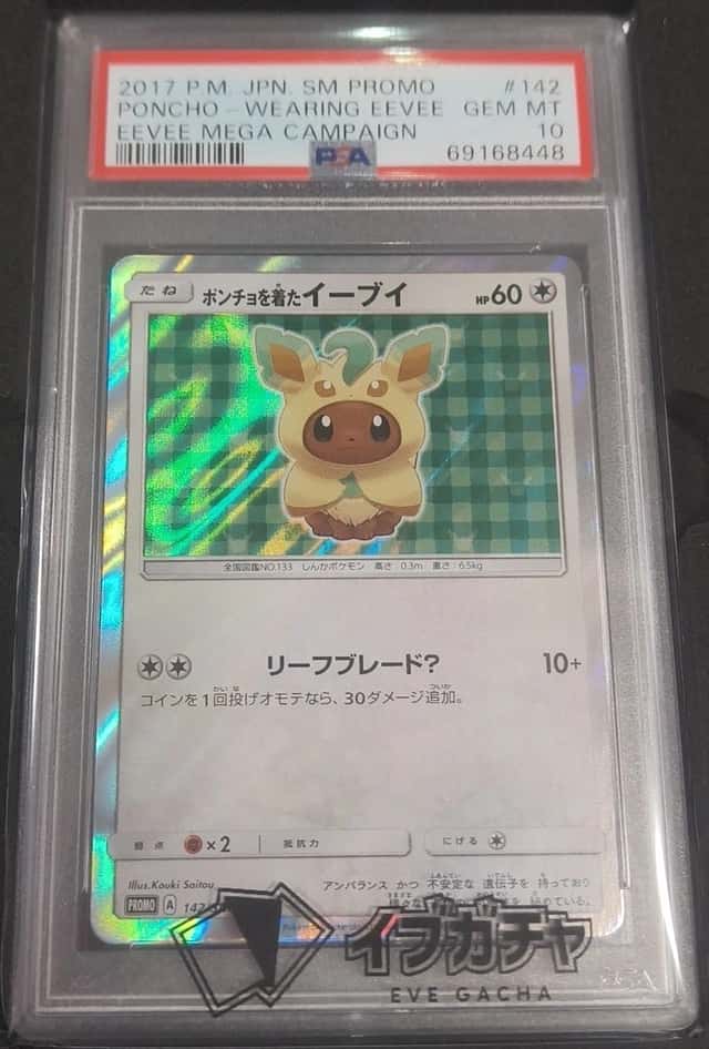Poncho-Wearing Eevee