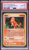 Ditto [charmander]