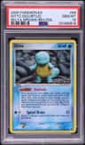 Ditto [squirtle]