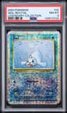 Seel