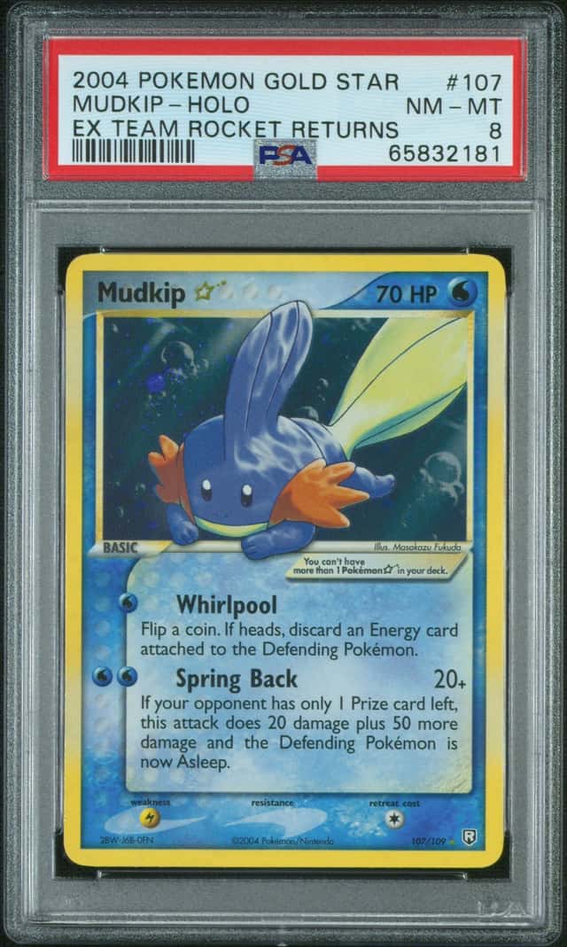 Mudkip
