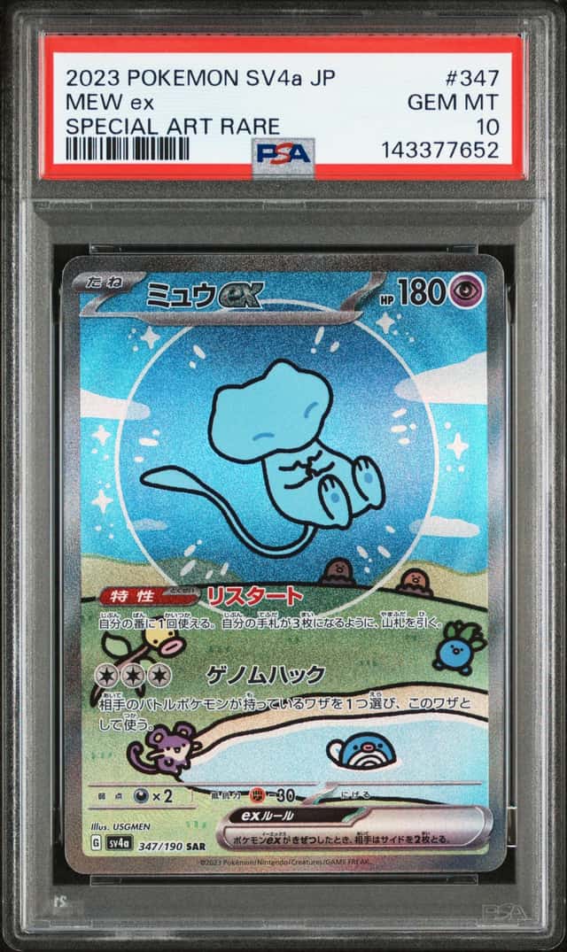MEW ex