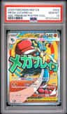 Mega Lucario Ex