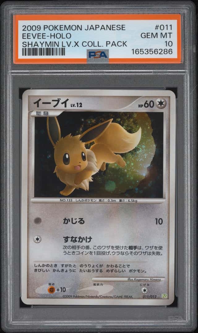 Eevee