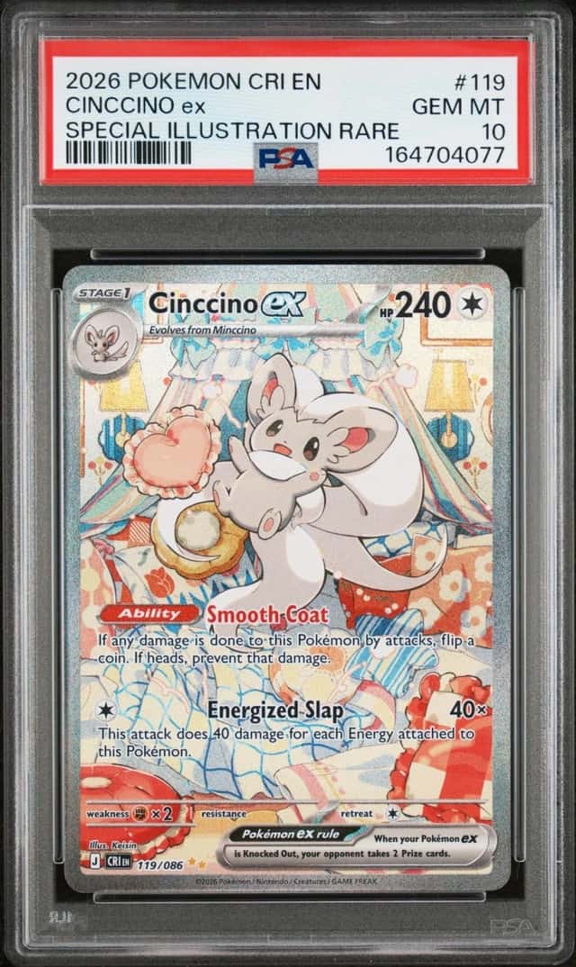 CINCCINO ex