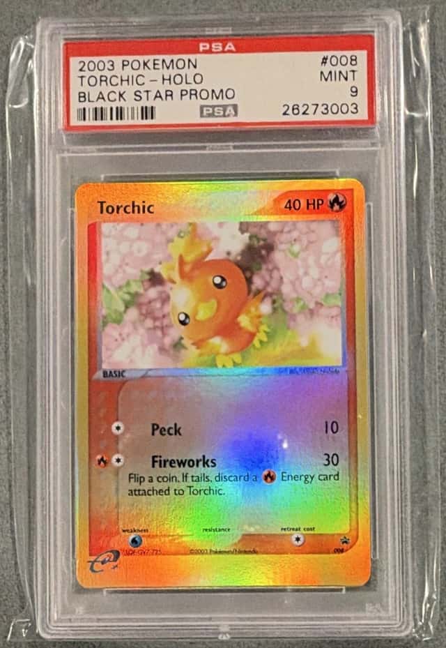 Torchic