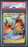 Raichu & Alolan Raichu Gx