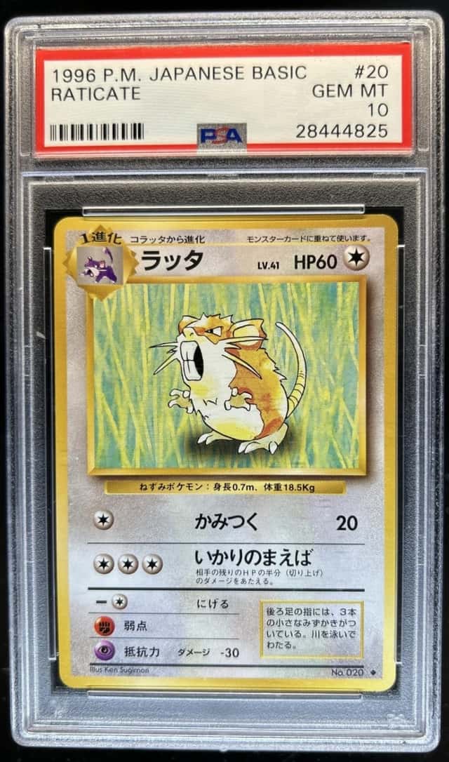 Raticate