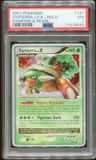 Torterra Lv X