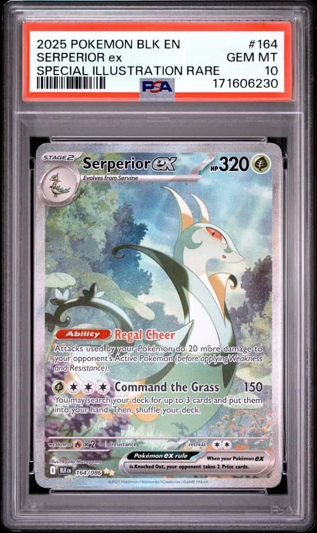 SERPERIOR ex