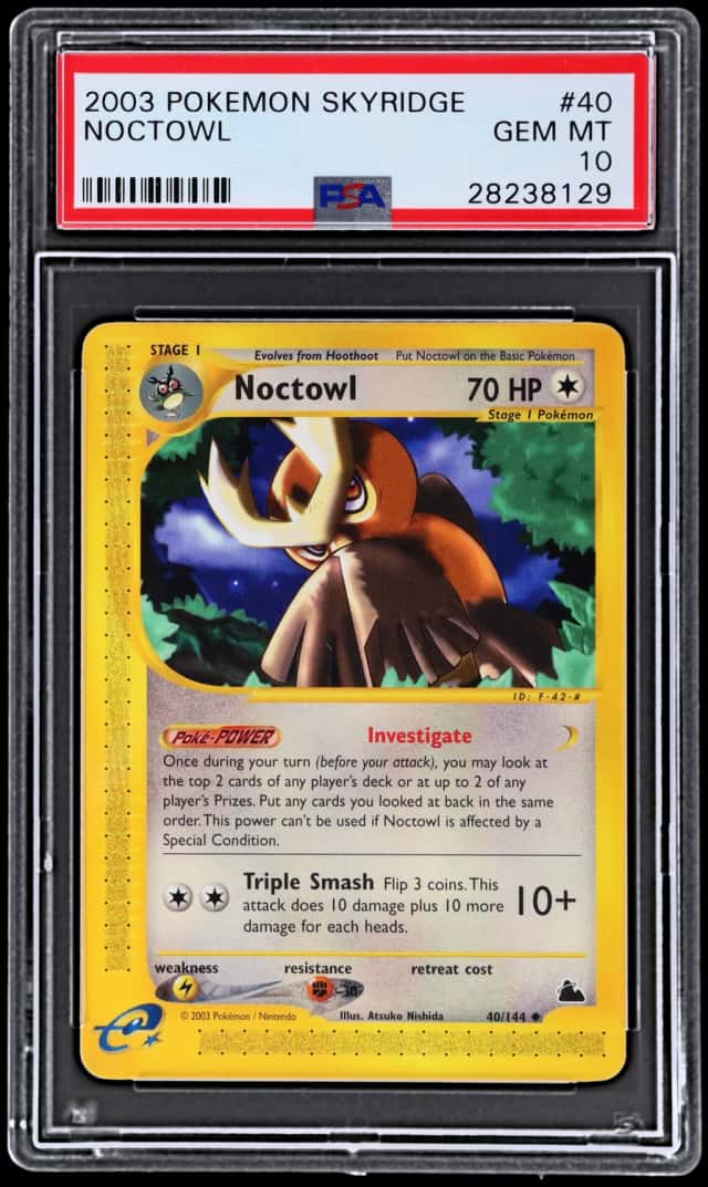 Noctowl