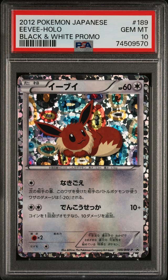 PTCG 宝可梦 PSA 10分 伊布 2012 189/BW-P PROMO BW-P 伊布文件夹收藏特典 日文
